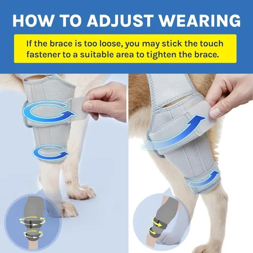 Vista 6 de Rodillera para perro para desgarro del ligamento cruzado anterior para lesiones de ligamentos y alivio del dolor en las articulaciones, tamaño: L