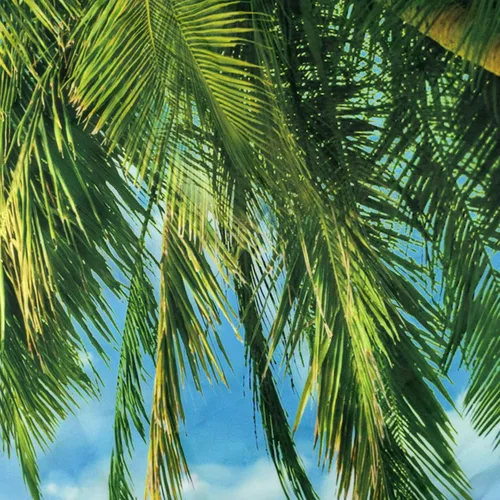 Vista 7 de HVEST Tapiz de playa para colgar en la pared, paisaje tropical azul océano, tapiz natural para dormitorio, palmera verde con cielo azul, nube