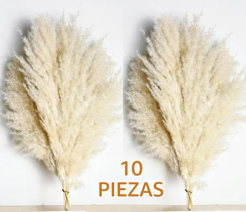 Vista 6 de 10 piezas de decoración de hierba de las pampas beige, hierba de las pampas secas naturalmente, colas de conejo, flores secas y eucalipto seco.