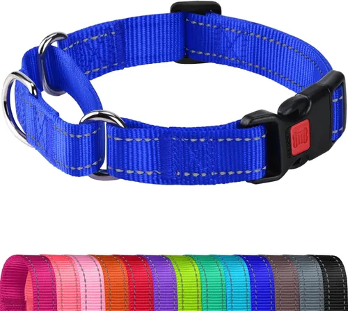 Vista 9 de Joytale Collar Martingale para perros, reflectante resistente para mayor seguridad, hebilla de liberación rápida, collares de nailon ajustables