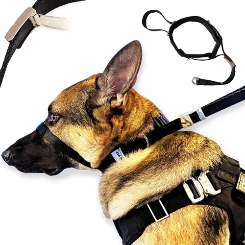 Vista 5 de PetsProMax - Collar de cabeza de perro sin tirones para perros pequeños; parada instantánea; collar de entrenamiento suave para perros; solución