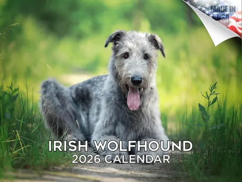 Vista 169 de Calendario de Lebrel Afgano 2025 2026, calendario mensual de pared de raza canina, 12" x 18" abierto, papel grueso sin traspaso, ideal para regalo