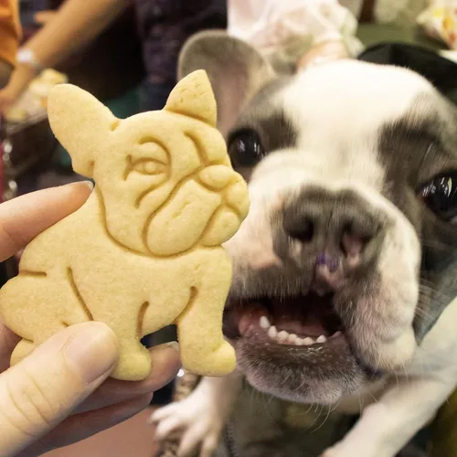 Vista 4 de Cortador de galletas Bulldog Francés, 1 pieza - Bakerlogy