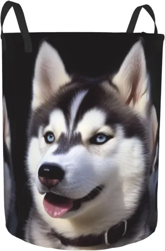 Vista 7 de Cesta de lavandería para perro Husky impermeable, cesta de ropa sucia, plegable, con asas, cesta de lavandería independiente para baño, dormitorio