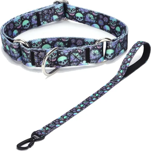 Vista 36 de Collar de perro de nailon resistente, collar ajustable de martingala para perros para caminar y entrenamiento para perros machos y hembras perros