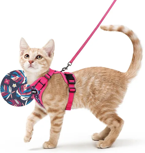 Vista 56 de rabbitgoo Cat Harness and Leash Set, Escape Proof Vest, XXS, Berry Pounce Soft Breathable Mesh, No-choke Adjustable Fit, Snap Buckles, Sturdy