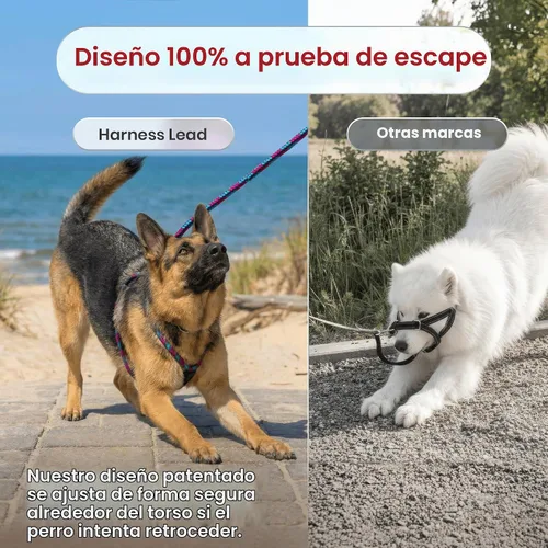 Vista 5 de Harness Lead Juego de arnés y correa para perro sin tirones, arnés antitirones para todas las razas y tamaños, diseño de cuerda acolchada de una