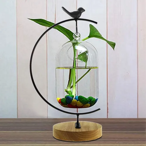 Vista 7 de CXLE Soporte de exhibición de adornos, soporte de adorno de hierro para colgar globo de vidrio para plantas de aire, terrario, bola de bruja, adorno