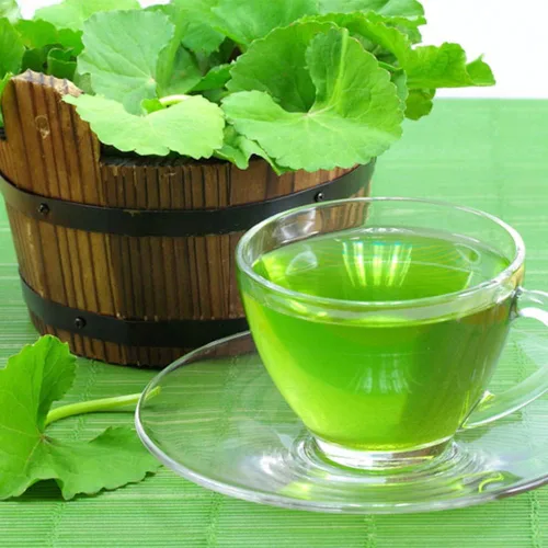 Vista 3 de 500 semillas orgánicas prémium de Centella Asiática, Rau Ma, Pennywort, Gotu Kola, semillas de Kodavan - Semillas de hierbas comestibles