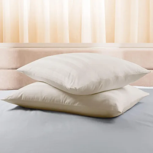 Vista 62 de Juego de 2 protectores de almohada estándar, 100% algodón egipcio con cremallera, 400 hilos, tejido satinado, algodón, color beige, fundas