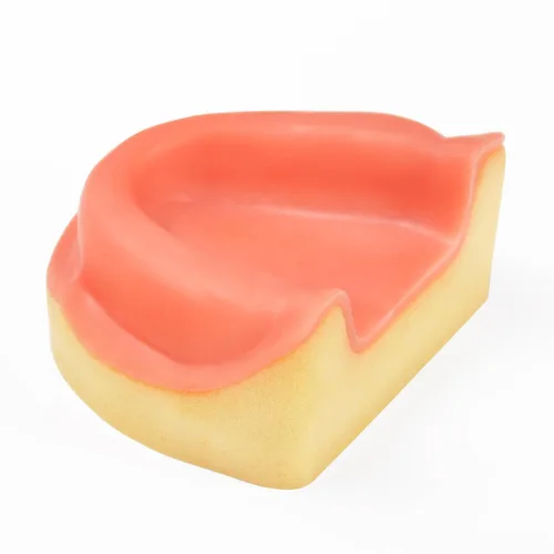 Vista 3 de Ultrassist Entrenamiento de implantes dentales Modelo edéntulo maxilar, maxilar simplificado con tejido suave, gran diente de entrenamiento