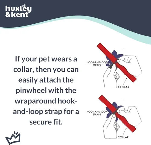 Vista 3 de Huxley & Kent Molinete para mascotas Igualdad (pequeño) Accesorio de collar de orgullo para perros/gatos Accesorio para mascotas divertido