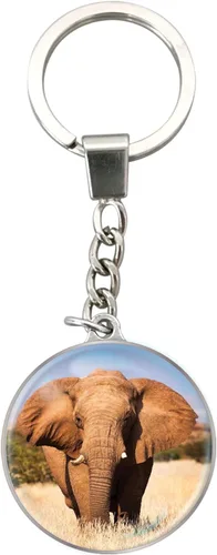 Vista 24 de Deluxebase Magnidome Llavero de domo en forma de cúpula con cadena de acero inoxidable. Llavero de cúpula de cristal