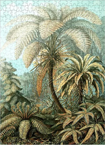 Vista 7 de MyPuzzle Fern (Filicinae) - Formas de arte en la naturaleza, póster de arte vintage, Ernst Haeckel - Rompecabezas prémium de 1000 piezas para adultos