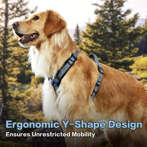 Vista 3 de Arnés para Perro PAWS PASSION para Perros Extra Grandes, Arnés para Perro Sin Tirones Fácil de Caminar con Herrajes Metálicos, Diseño Ergonómico