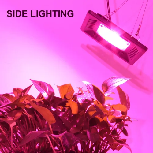 Vista 6 de Luz LED impermeable de 100 W de espectro completo, luz LED COB de nueva tecnología, disipación de calor natural sin ruido, adecuado para plantas