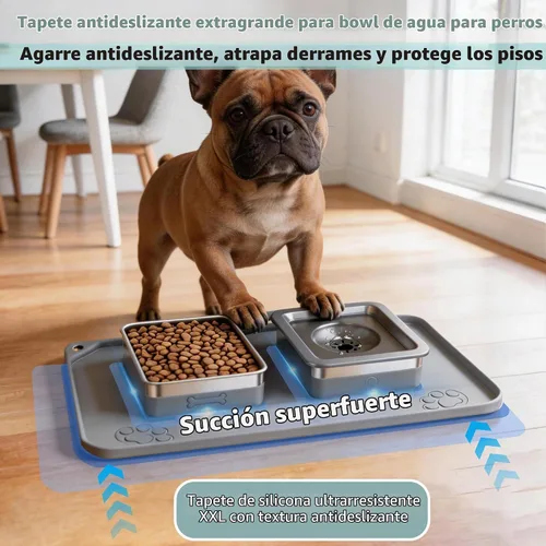 Vista 5 de UPSKY Juego de cuencos para perros PET, cuenco de agua y comida para perros Gris