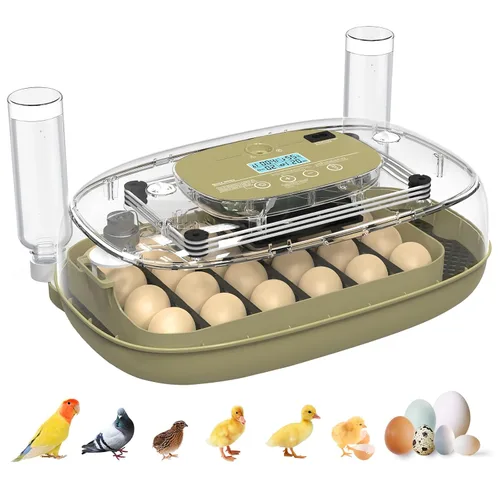 Vista 8 de Incubadora de 12 huevos con giro automático, recarga automática de agua y control de temperatura/humedad, además de guía de eclosión, criador