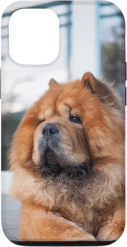 Vista 26 de Funda Chow Chow Chow para iPhone 15 Pro Max
