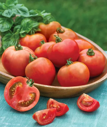 Vista 14 de Burpee 'Better Boy' - Semillas de tomate híbridas, gran variedad de tomate rojo en rodajas, 30 semillas de vegetales sin OMG para plantar, tomate