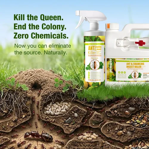 Vista 6 de EcoRaider insecticida y hormiguicida (aroma de cítricos) de 16 oz, natural y no tóxico