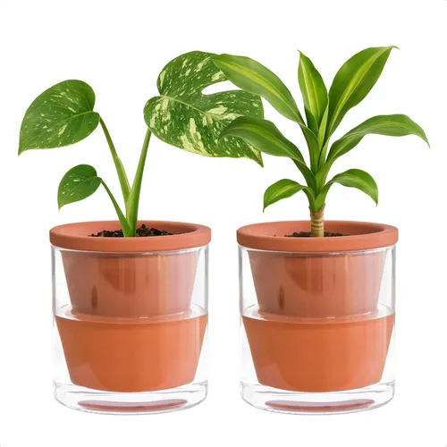 Vista 10 de D'vine Dev Maceta de Diseño de Riego Automático de 4 Pulgadas para Plantas de Interior, Maceta de Terracota Azul con Vaso Cilíndrico de Vidrio