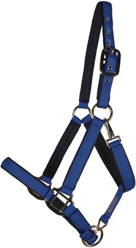 Vista 13 de Dura-Tech Cabestro de caballo de nailon totalmente acolchado Cabestro para caballo diseñado para evitar rozaduras Corona y bordillo de caballo