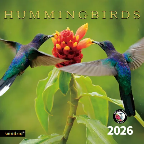 Vista 13 de Calendario de pared 2026, Calendario divertido 2026, noviembre de 2025 - diciembre de 2026, calendario de pared con memes divertidos de animales, 12