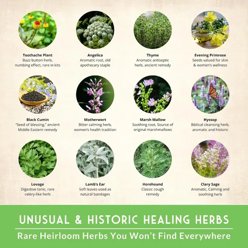 Vista 2 de Paquete de Variedad de Semillas de Hierbas Medicinales Ultimate – 36 Hierbas Curativas Heirloom sin OGM para Plantar Kit de Jardín de Bienestar
