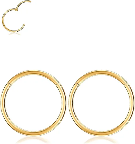 Vista 5 de Nose Rings Hoop and Nose Studs Sets for Women Men,Hypoallergenic 316L Surgical Stainless Steel Hinged Clicker Segment Nose Rings Hoop Helix