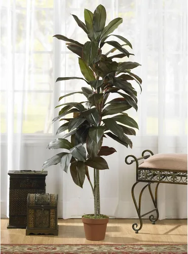 Vista 3 de Casi Natural 6580 Cordyline la seda Planta Real Touch, 5-Feet, Verde