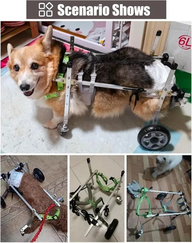 Vista 5 de Adjustable Dog Wheelchair for Back Legs - Mobility Cart for Injured Pets, Supportive Walker for Small Dogs (Size 2X-Small) - Enhance Mobility &