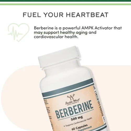 Vista 9 de Suplemento de berberina de 500 mg, alta pureza 97% HCl, 60 cápsulas (probado por terceros, sin OMG, sin gluten, apto para veganos) Activador AMPK