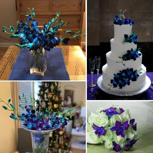 Vista 3 de 60 cabezas de orquídeas artificiales, orquídeas falsas para centros de mesa de boda, decoración de ramos, manualidades, despedida de soltera