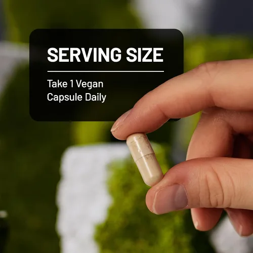 Vista 9 de NatureWise Extracto de grano de café verde, cápsulas de grano de café verde puro de 800 mg con 50% de soporte de ácido clorogénico