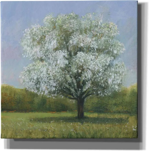 Vista 5 de Epic Graffiti 'Spring Blossom Tree II' por Tim O'Toole, lienzo para pared, 12 x 12 pulgadas