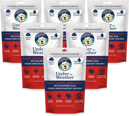 Vista 28 de Under the Weather Bland Diet para perros Fácil de digerir para perros enfermos Siempre esté listo Contiene electrolitos – Carnes naturales