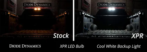 Vista 2 de Diode Dynamics 921 XPR Bombillas LED de respaldo blancas frías