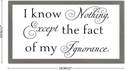 Vista 2 de Letrero de madera de estilo vintage de 12 x 22 pulgadas con texto positivo en inglés "I Know Nothing Except the Fact of My Ignorancance