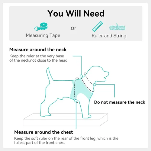 Vista 20 de Joytale Arnés para Perros Pequeños, Chaleco de Malla Transpirable Step-in, Arneses Acolchados Suaves Reflectantes para Gatos y Perros Cachorros
