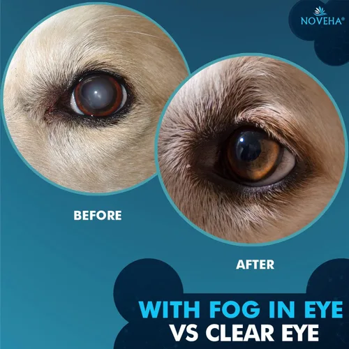 Vista 6 de NOVEHA Gotas para Mascotas Solución Avanzada de Lanosterol + NAC (2 x 10 mL)