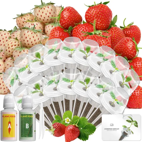 Vista 8 de Hydroponics - Vaina de semillas con albahaca genovesa y albahaca morada, kit completo de 8 cápsulas con esponja, canasta, cúpula, etiqueta