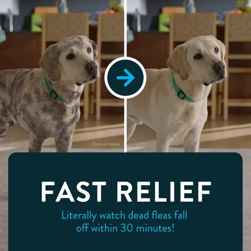 Vista 6 de Capstar (Nitenpyram) Tratamiento oral de pulgas de acción rápida para perros de 2 a 25 libras, tabletas de medicamentos recomendadas por