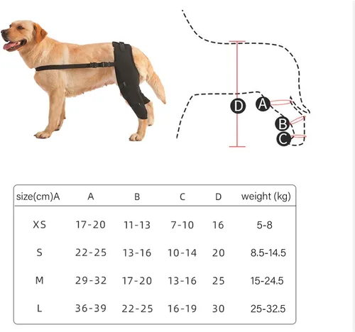 Vista 5 de Soporte de rodilla ajustable para perros, recuperación de piernas traseras y protección articular