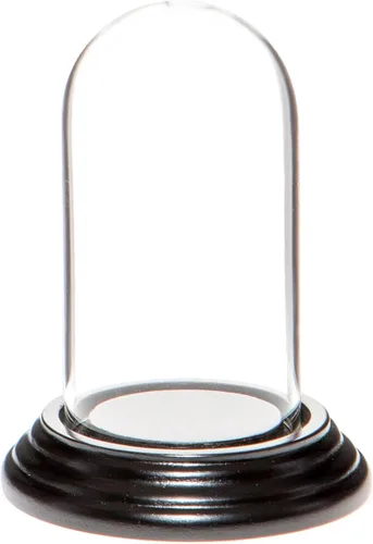 Vista 10 de Plymor Mini cúpula de cristal de 1.85 x 3.5 pulgadas (base de madera MDF negra)