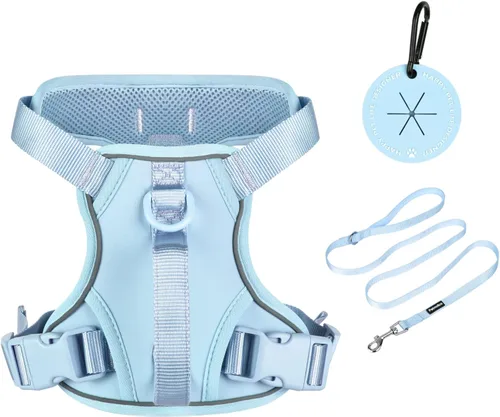 Vista 8 de Petmolico Arnés para perros pequeños, bonito arnés con dos clips para correa y mango suave, chaleco reflectante para cachorros fácil de caminar