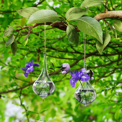 Vista 7 de 2 macetas de cristal colgantes para plantas, terrario, contenedores de vidrio colgantes para colgar en forma de lágrima, terrario, terrario