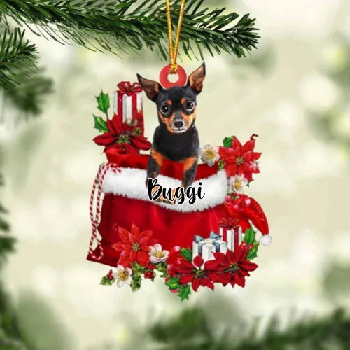 Vista 181 de Perro Akita Inu personalizado en bolsa de regalo, adorno de Navidad, nombre personalizado, regalo para amantes de los perros, familia, Navidad
