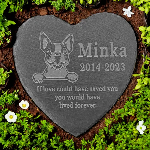 Vista 24 de Memorial personalizado de American Staffordshire Terrier, lápida de American Staffordshire Terrier, condolencias por pérdida de American