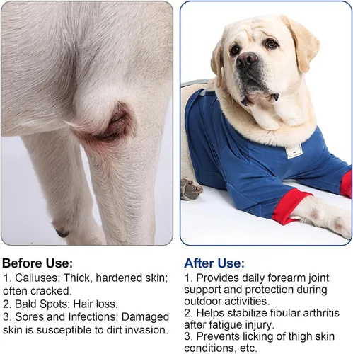 Vista 6 de Coderas ajustables para perro, protección suave y lavable para las piernas, heridas antilamidas con correa segura, rodillera